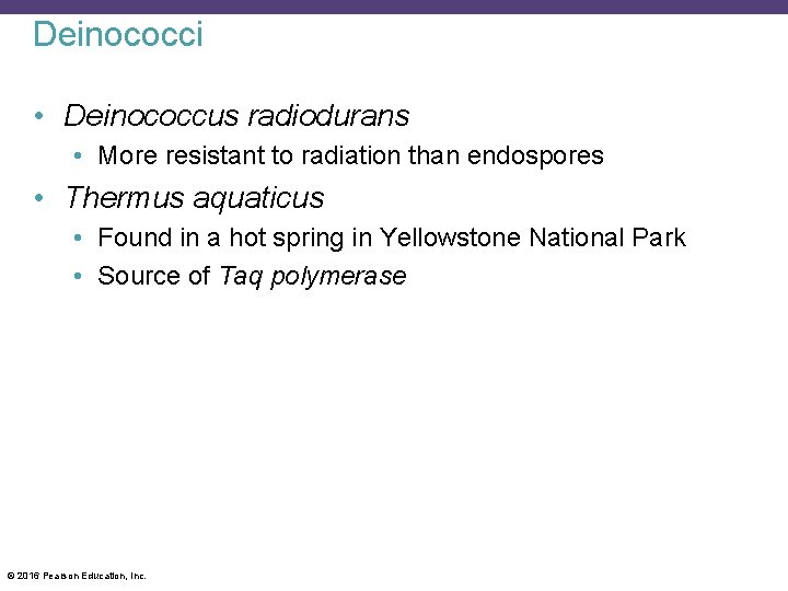 Deinococci • Deinococcus radiodurans • More resistant to radiation than endospores • Thermus aquaticus