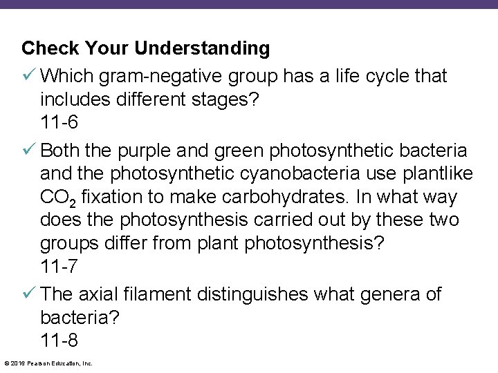 Check Your Understanding Which gram-negative group has a life cycle that includes different stages?