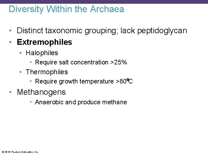 Diversity Within the Archaea • Distinct taxonomic grouping; lack peptidoglycan • Extremophiles • Halophiles