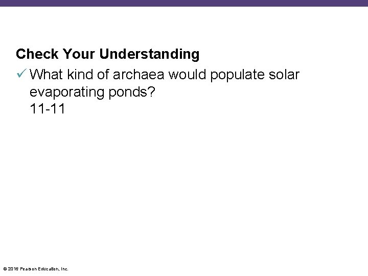 Check Your Understanding What kind of archaea would populate solar evaporating ponds? 11 -11