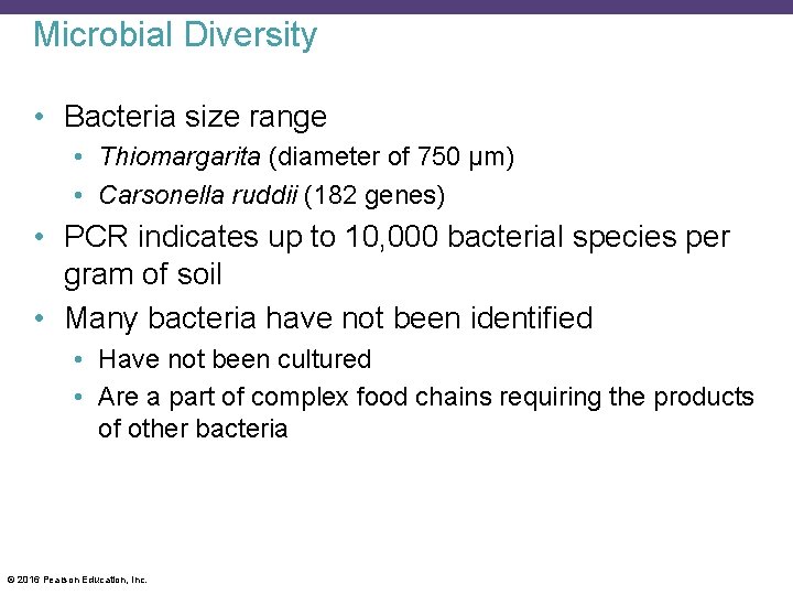 Microbial Diversity • Bacteria size range • Thiomargarita (diameter of 750 µm) • Carsonella