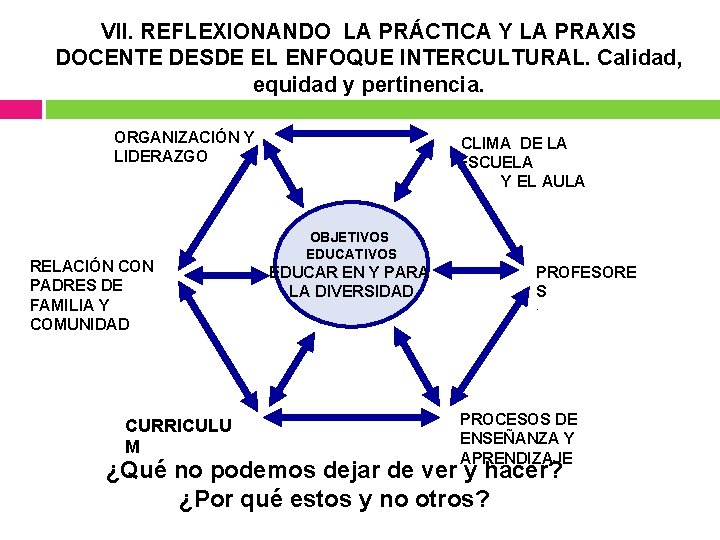 VII. REFLEXIONANDO LA PRÁCTICA Y LA PRAXIS DOCENTE DESDE EL ENFOQUE INTERCULTURAL. Calidad, equidad