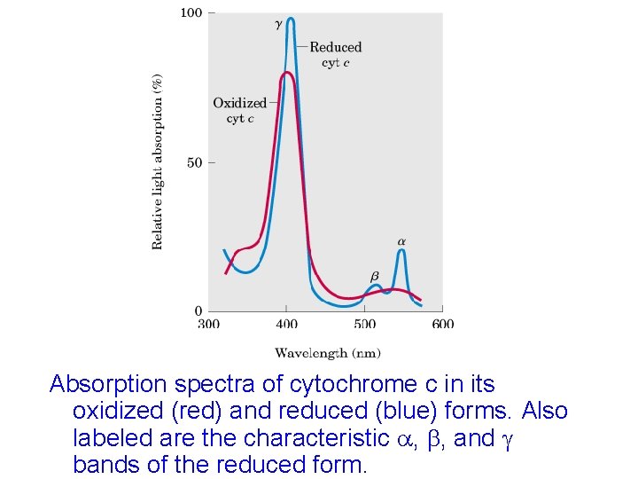 Absorption spectra of cytochrome c in its oxidized (red) and reduced (blue) forms. Also