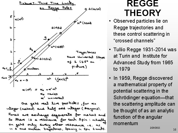 REGGE THEORY • Observed particles lie on Regge trajectories and these control scattering in