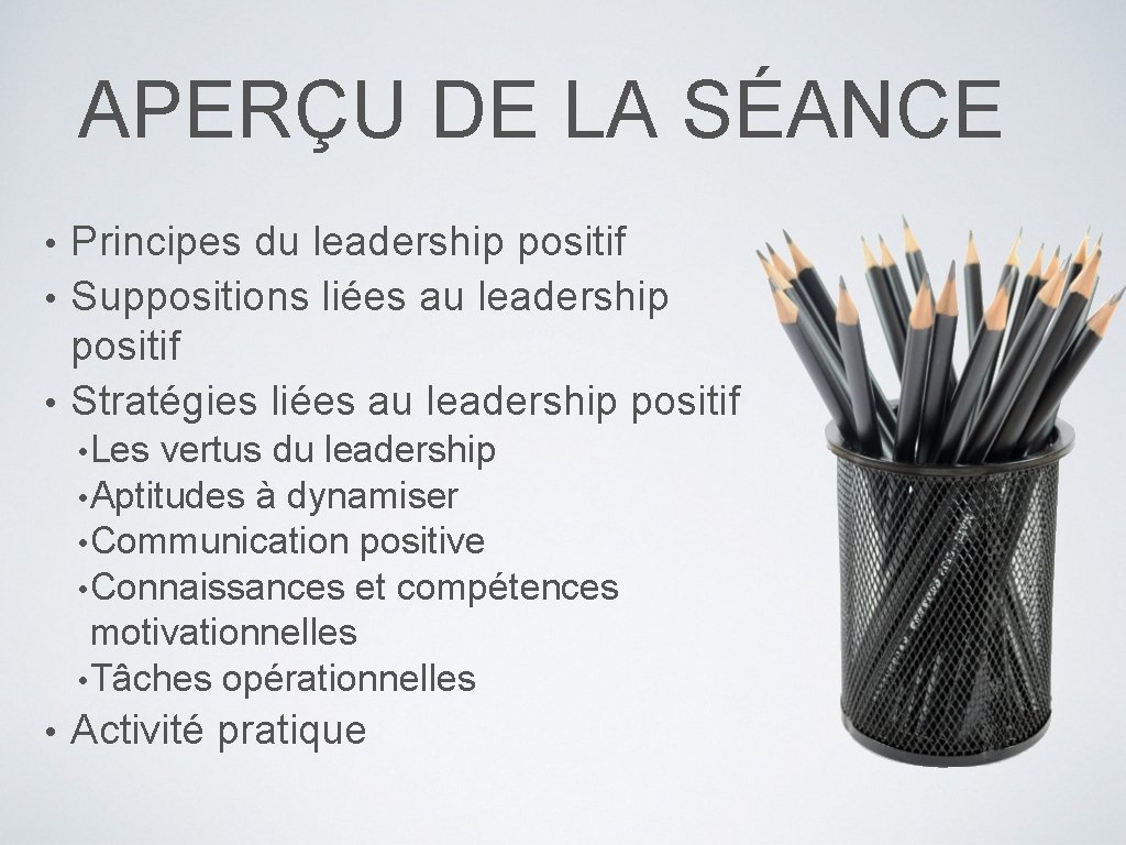 APERÇU DE LA SÉANCE Principes du leadership positif • Suppositions liées au leadership positif