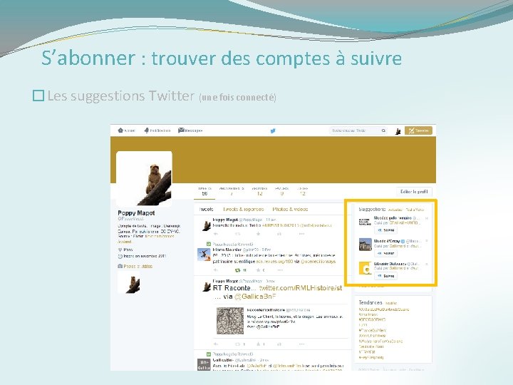 S’abonner : trouver des comptes à suivre �Les suggestions Twitter (une fois connecté) 