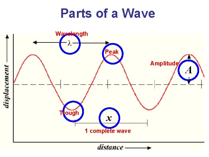 Parts of a Wavelength Peak Amplitude Trough x 1 complete wave A 