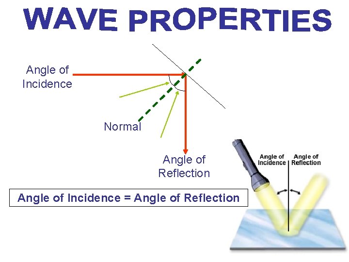 Angle of Incidence Normal Angle of Reflection Angle of Incidence = Angle of Reflection