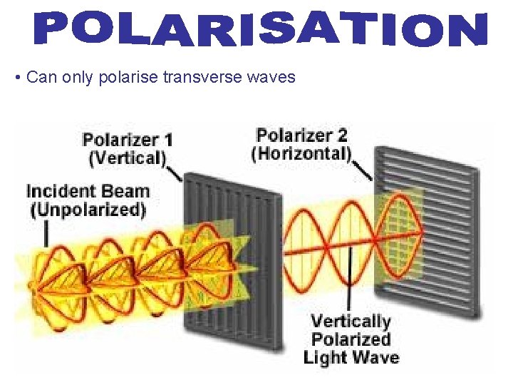  • Can only polarise transverse waves 