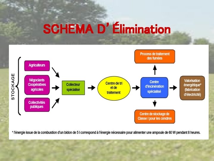 SCHEMA D’Élimination 