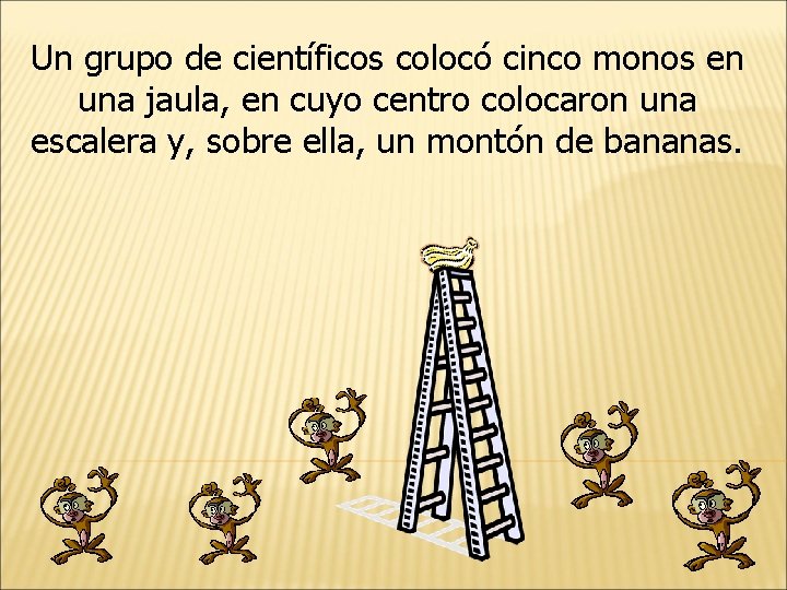 Un grupo de científicos colocó cinco monos en una jaula, en cuyo centro colocaron