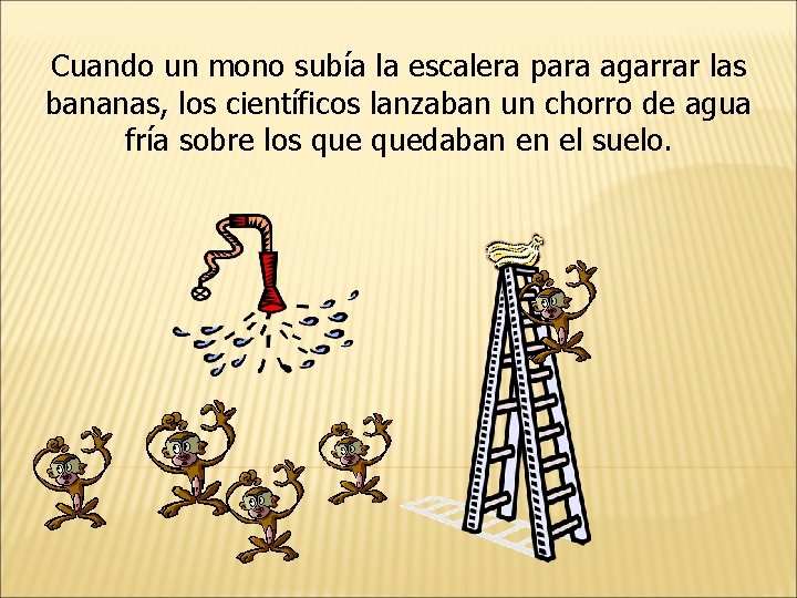 Cuando un mono subía la escalera para agarrar las bananas, los científicos lanzaban un