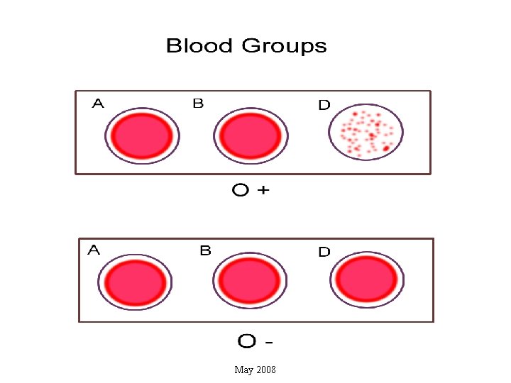 Phase II Medicine- Blood Module May 2008 14 