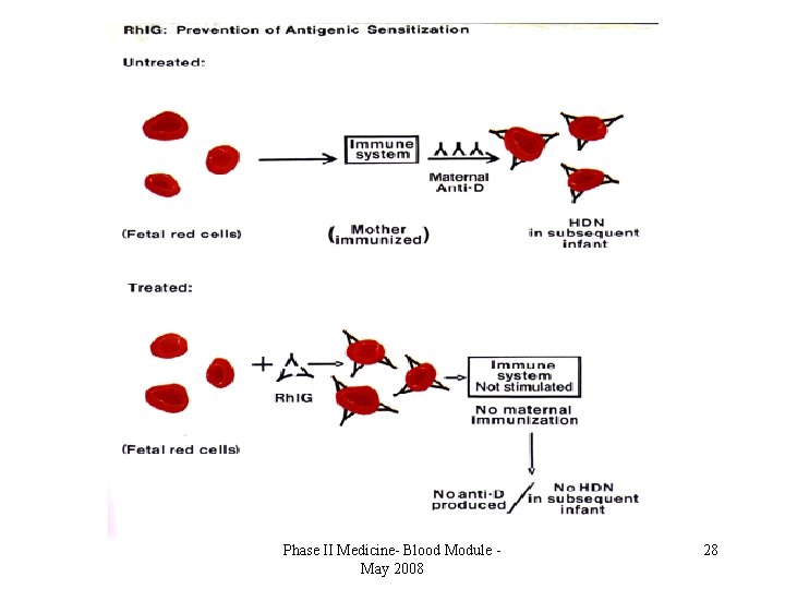 Phase II Medicine- Blood Module May 2008 28 
