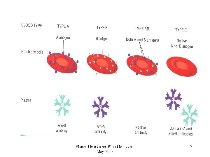 Phase II Medicine- Blood Module May 2008 7 