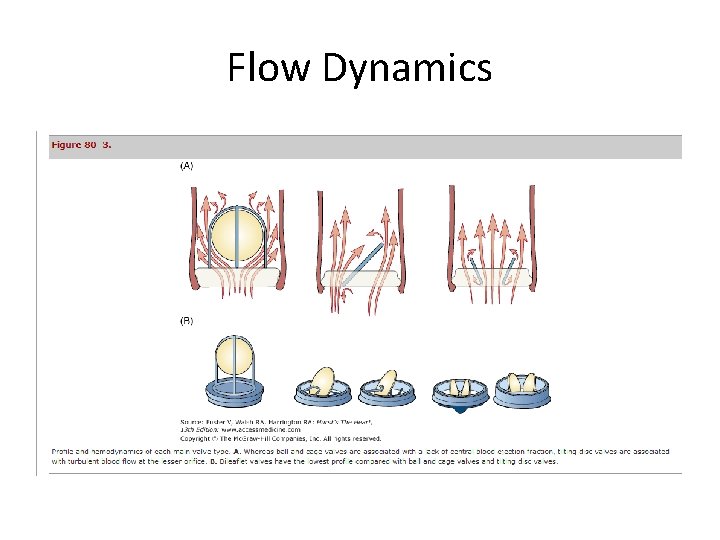 Flow Dynamics 