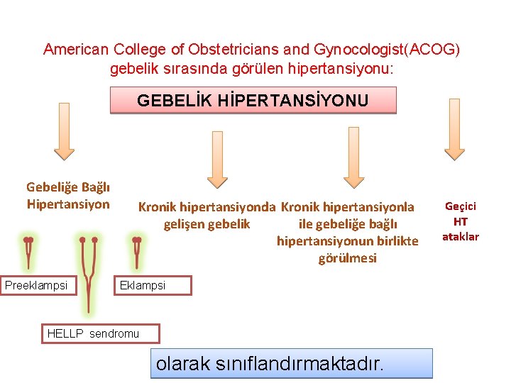 American College of Obstetricians and Gynocologist(ACOG) gebelik sırasında görülen hipertansiyonu: GEBELİK HİPERTANSİYONU Gebeliğe Bağlı