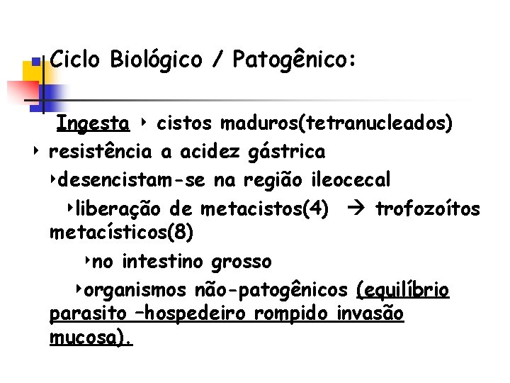 n Ciclo Biológico / Patogênico: Ingesta ‣ cistos maduros(tetranucleados) ‣ resistência a acidez gástrica