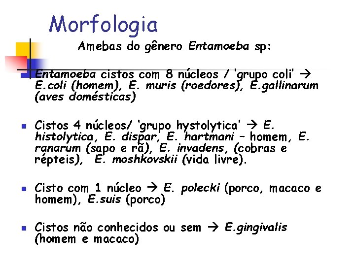 Morfologia Amebas do gênero Entamoeba sp: n n Entamoeba cistos com 8 núcleos /