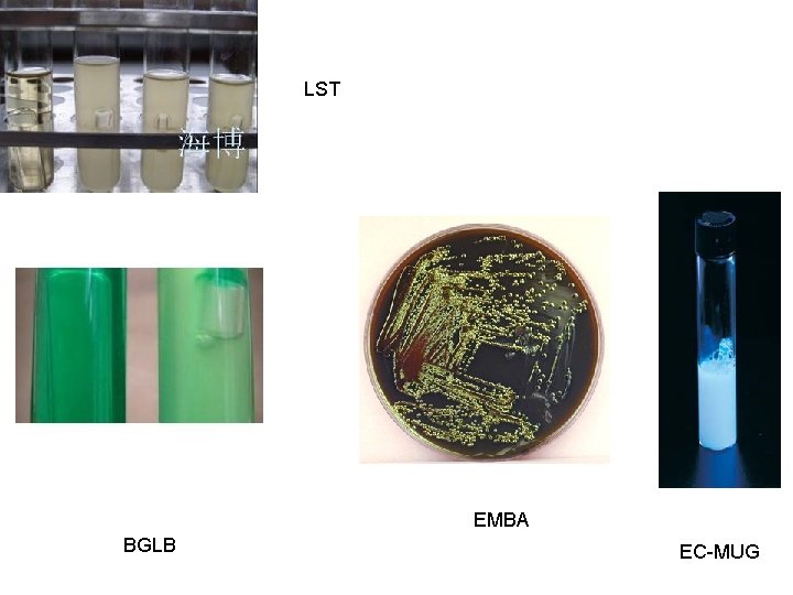 LST EMBA BGLB EC-MUG  LST EMBA BGLB EC-MUG