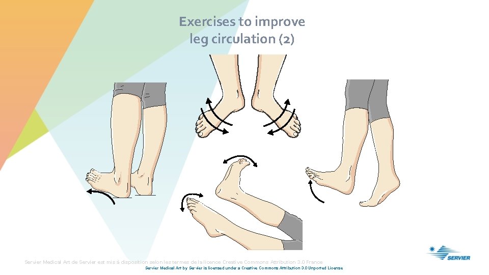 Exercises to improve leg circulation (2) Servier Medical Art de Servier est mis à