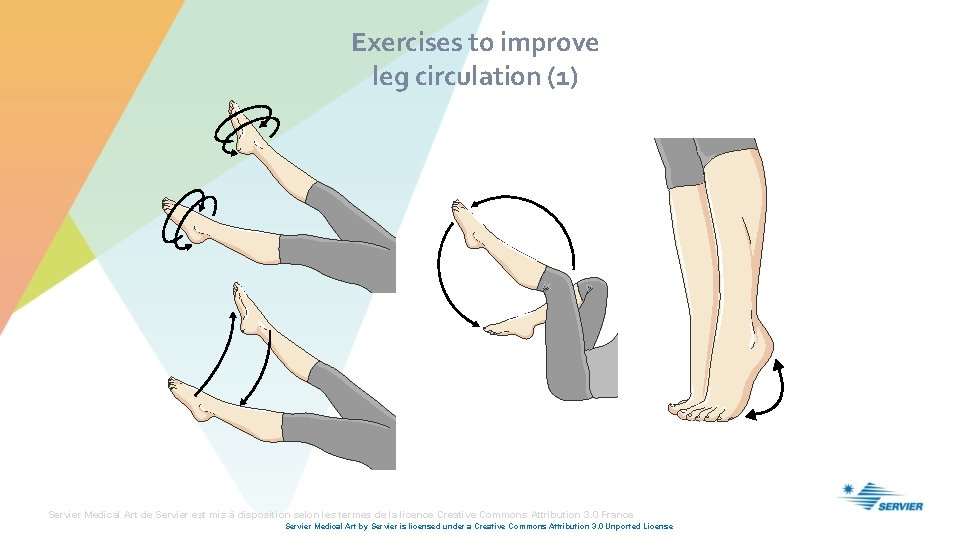 Exercises to improve leg circulation (1) Servier Medical Art de Servier est mis à