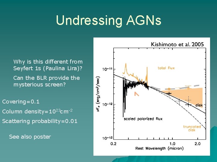 Undressing AGNs Why is this different from Seyfert 1 s (Paulina Lira)? Can the