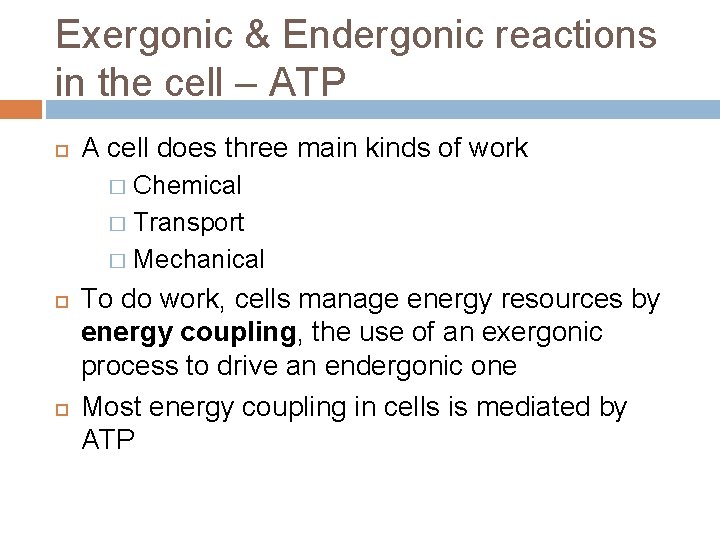 Exergonic & Endergonic reactions in the cell – ATP A cell does three main