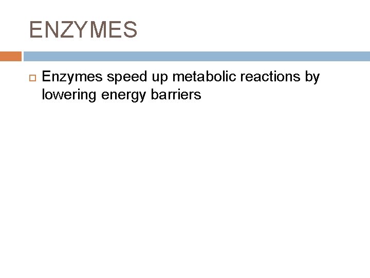 ENZYMES Enzymes speed up metabolic reactions by lowering energy barriers 