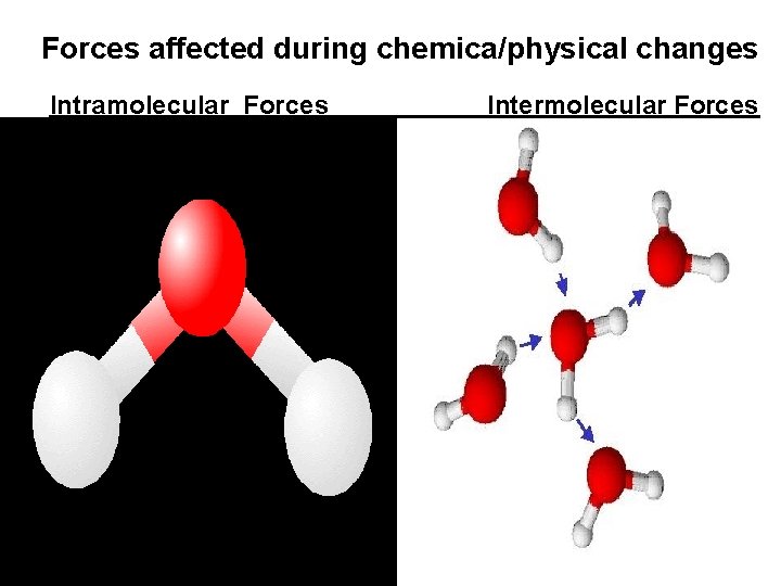 Forces affected during chemica/physical changes Intramolecular Forces. Intermolecular Forces 