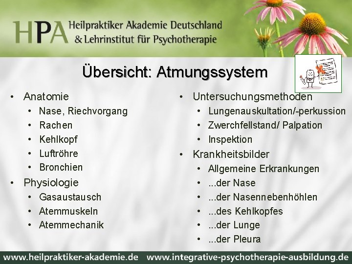 Übersicht: Atmungssystem • Anatomie • • • Nase, Riechvorgang Rachen Kehlkopf Luftröhre Bronchien •