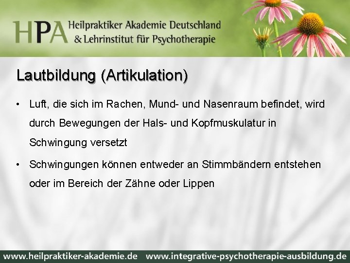 Lautbildung (Artikulation) • Luft, die sich im Rachen, Mund- und Nasenraum befindet, wird durch