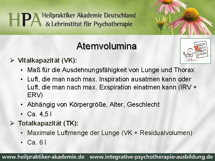 Atemvolumina Ø Vitalkapazität (VK): • Maß für die Ausdehnungsfähigkeit von Lunge und Thorax •