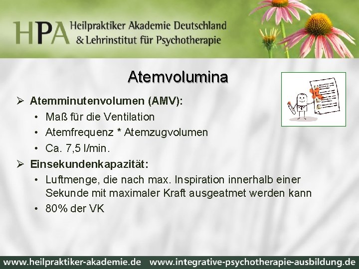 Atemvolumina Ø Atemminutenvolumen (AMV): • Maß für die Ventilation • Atemfrequenz * Atemzugvolumen •