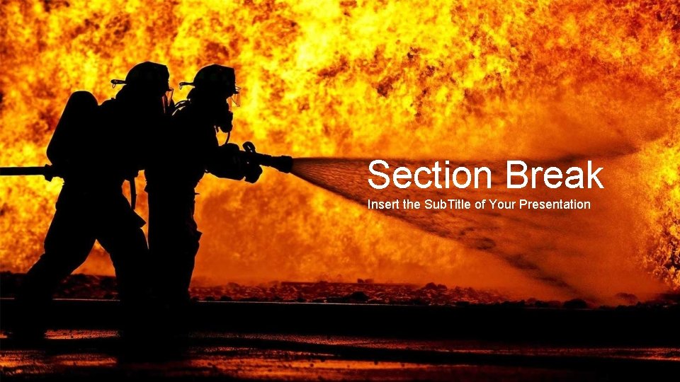 Section Break Insert the Sub. Title of Your Presentation 