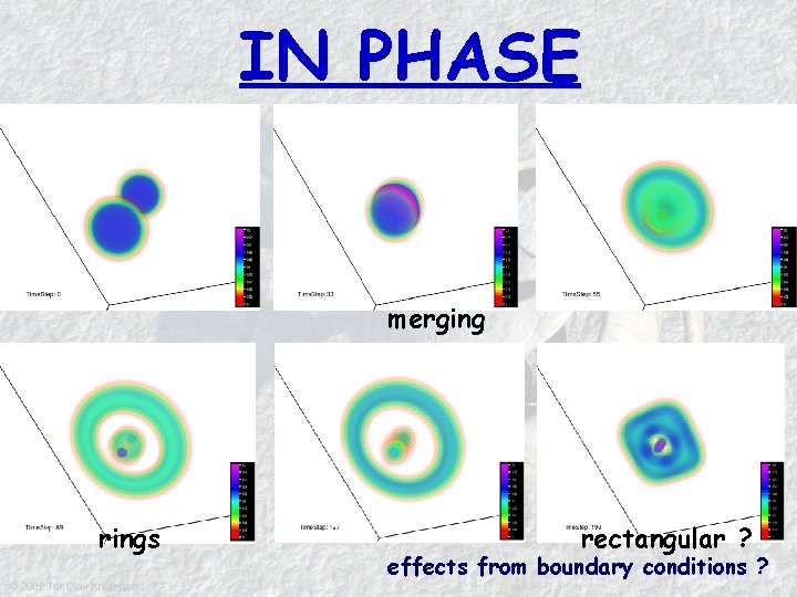 IN PHASE merging rings rectangular ? effects from boundary conditions ? 