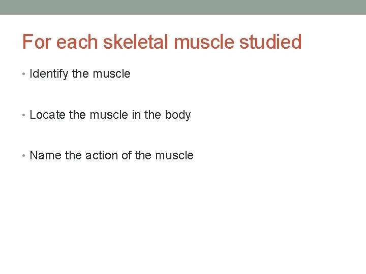 For each skeletal muscle studied • Identify the muscle • Locate the muscle in For each skeletal muscle studied • Identify the muscle • Locate the muscle in
