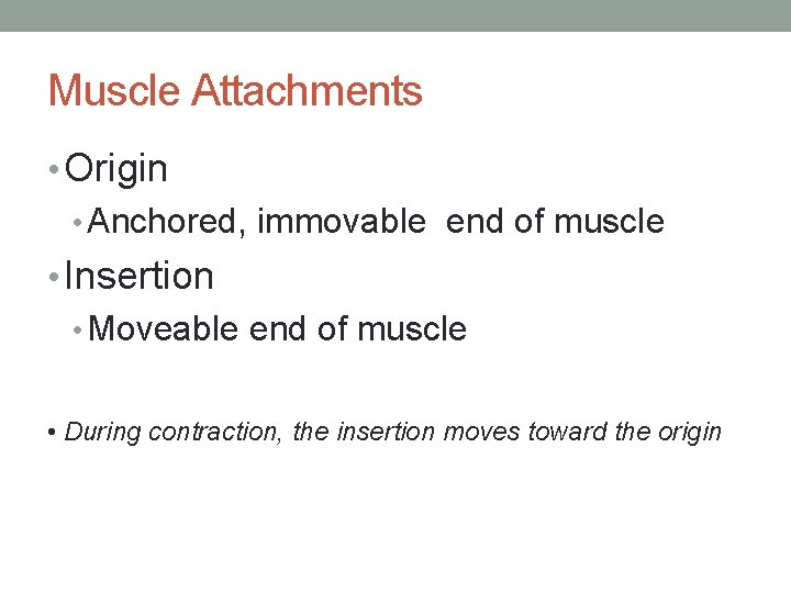 Muscle Attachments • Origin • Anchored, immovable end of muscle • Insertion • Moveable Muscle Attachments • Origin • Anchored, immovable end of muscle • Insertion • Moveable
