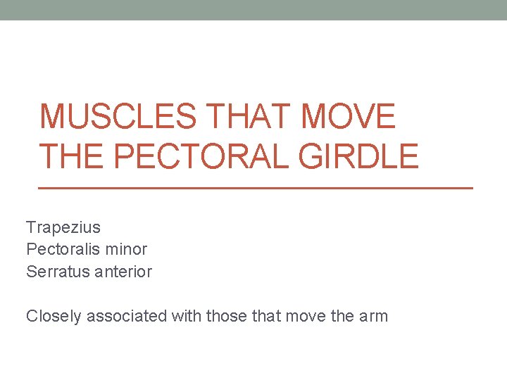 MUSCLES THAT MOVE THE PECTORAL GIRDLE Trapezius Pectoralis minor Serratus anterior Closely associated with MUSCLES THAT MOVE THE PECTORAL GIRDLE Trapezius Pectoralis minor Serratus anterior Closely associated with