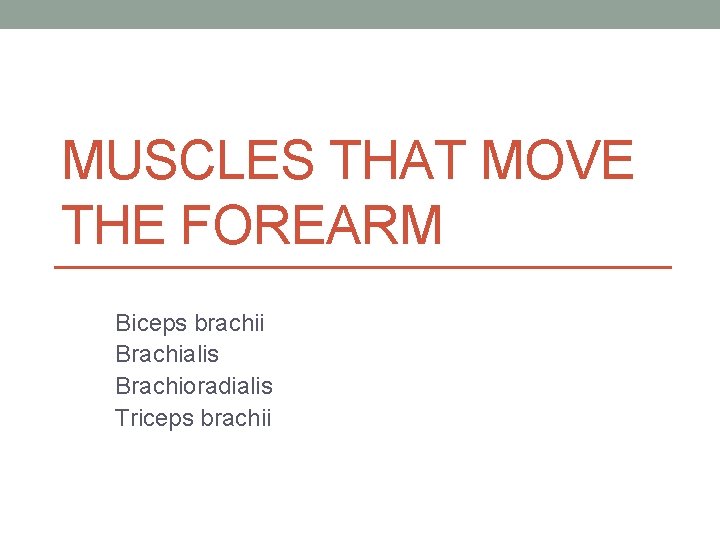 MUSCLES THAT MOVE THE FOREARM Biceps brachii Brachialis Brachioradialis Triceps brachii MUSCLES THAT MOVE THE FOREARM Biceps brachii Brachialis Brachioradialis Triceps brachii