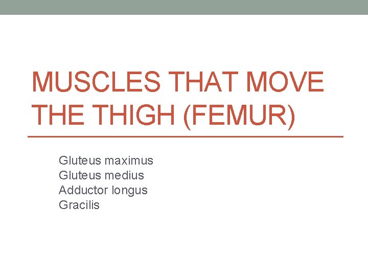 MUSCLES THAT MOVE THIGH (FEMUR) Gluteus maximus Gluteus medius Adductor longus Gracilis MUSCLES THAT MOVE THIGH (FEMUR) Gluteus maximus Gluteus medius Adductor longus Gracilis