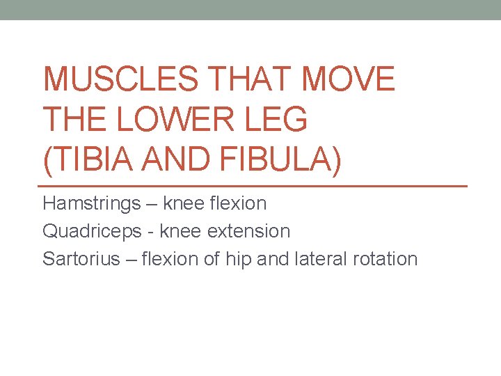 MUSCLES THAT MOVE THE LOWER LEG (TIBIA AND FIBULA) Hamstrings – knee flexion Quadriceps MUSCLES THAT MOVE THE LOWER LEG (TIBIA AND FIBULA) Hamstrings – knee flexion Quadriceps
