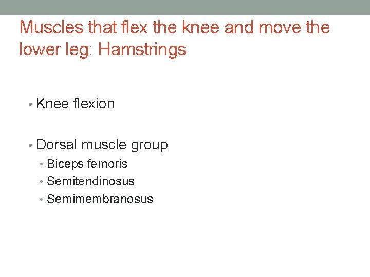 Muscles that flex the knee and move the lower leg: Hamstrings • Knee flexion Muscles that flex the knee and move the lower leg: Hamstrings • Knee flexion