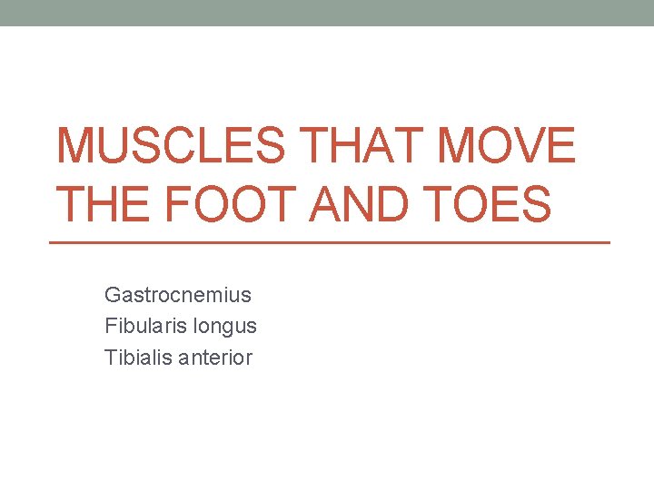 MUSCLES THAT MOVE THE FOOT AND TOES Gastrocnemius Fibularis longus Tibialis anterior MUSCLES THAT MOVE THE FOOT AND TOES Gastrocnemius Fibularis longus Tibialis anterior