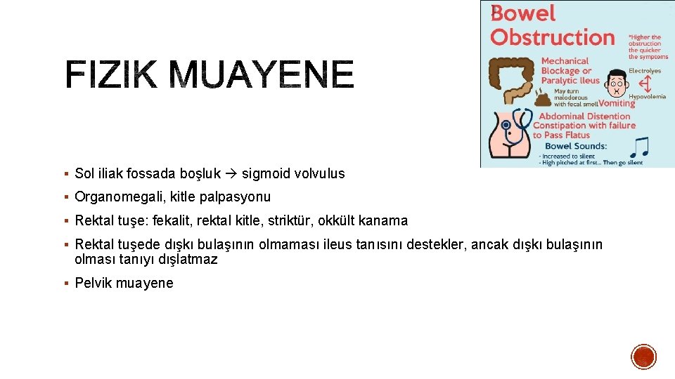 § Sol iliak fossada boşluk sigmoid volvulus § Organomegali, kitle palpasyonu § Rektal tuşe: