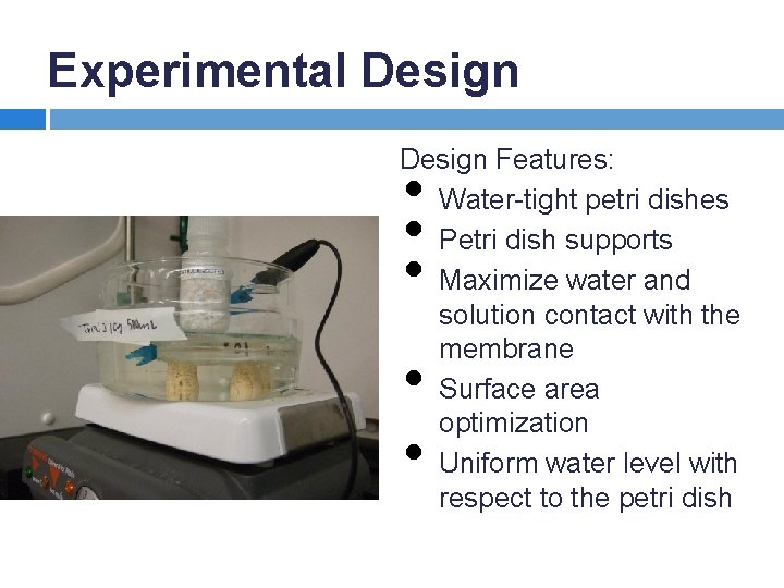 Experimental Design Features: Water-tight petri dishes Petri dish supports Maximize water and solution contact