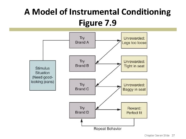 A Model of Instrumental Conditioning Figure 7. 9 Chapter Seven Slide 27 