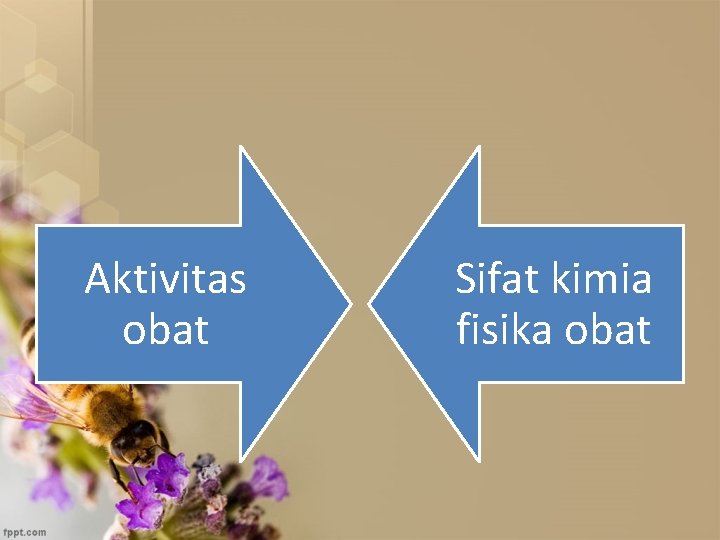 Aktivitas obat Sifat kimia fisika obat 