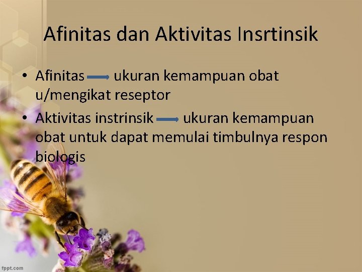 Afinitas dan Aktivitas Insrtinsik • Afinitas ukuran kemampuan obat u/mengikat reseptor • Aktivitas instrinsik