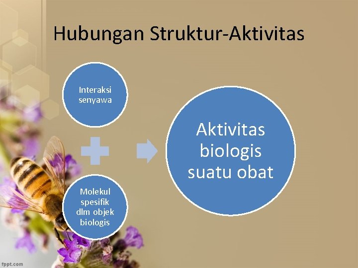 Hubungan Struktur-Aktivitas Interaksi senyawa Aktivitas biologis suatu obat Molekul spesifik dlm objek biologis 